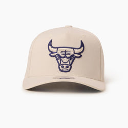 Mitchell & Ness NBA White / Blue 110 FlexFit Chicago Bulls