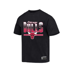 NBA Essentials Bloomfield Vintage Tee Chicago Bulls