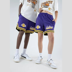 NBA Essentials Brunswick Mesh Shorts Los Angeles Lakers