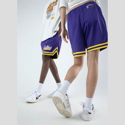 NBA Essentials Brunswick Mesh Shorts Los Angeles Lakers