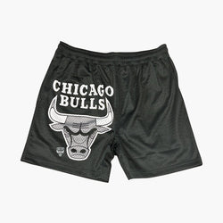 NBA Essentials NBA Apollo Mesh Shorts Chicago Bulls