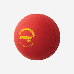 Kookaburra Sponge Cricket Ball