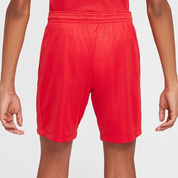 Nike Boys Dri Fit Trophy Short