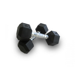 12.5 Kg Rubber Hex Dumbbell