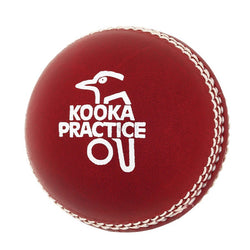 Kookaburra Practice 156g Red Cricket Ball