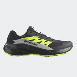 Salomon Alphaglide GTX