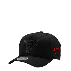 Mitchell & Ness NBA Game Day 110 FlexFit Chicago Bulls