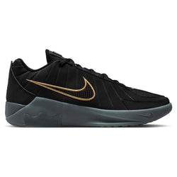Nike Lebron Witness IX