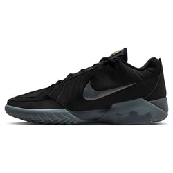 Nike Lebron Witness IX