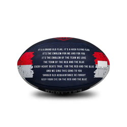 Sherrin AFL Team Range Song Ball Melbourne Demons