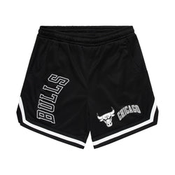 NBA Essentials Linden Mesh Shorts Chicago Bulls