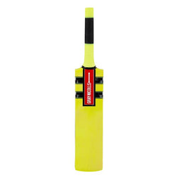 Gray Nicolls Cloud Catcher Bat