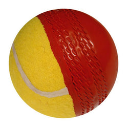 Gray Nicolls Swing Ball