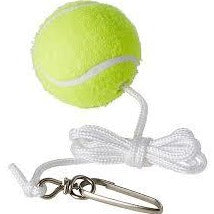 Regent Spin Tennis Spare Balls