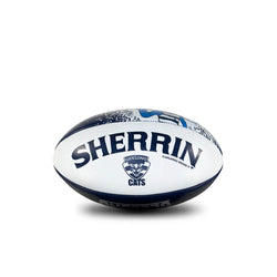 Sherrin PVC 20cm Softie Mascot Cats Football