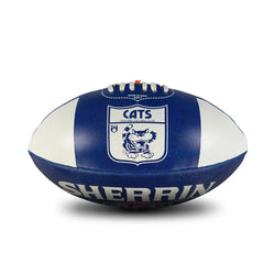 Sherrin Synthetic All Surface 1st 18 Cats Sz 3