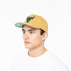 Mitchell & Ness NBA The Great Stretch Snapback Cap Chicago Bulls